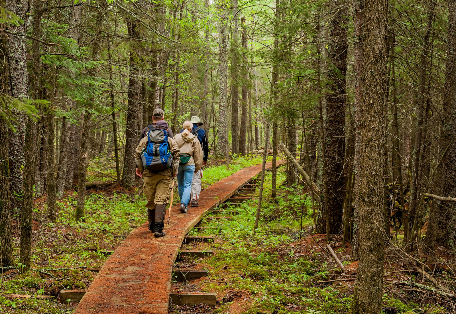 This Country Trail Has Overtaken the Appalachian in Popularity — Here’s Why